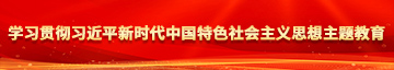 艹逼网站下载学习贯彻习近平新时代中国特色社会主义思想主题教育